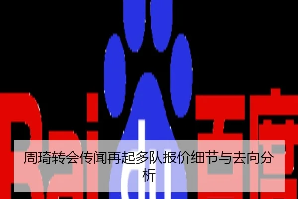 周琦转会传闻再起多队报价细节与去向分析