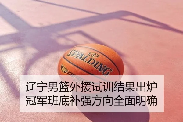 辽宁男篮外援试训结果出炉 冠军班底补强方向全面明确