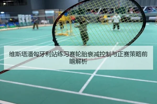 维斯塔潘匈牙利站练习赛轮胎衰减控制与正赛策略前瞻解析