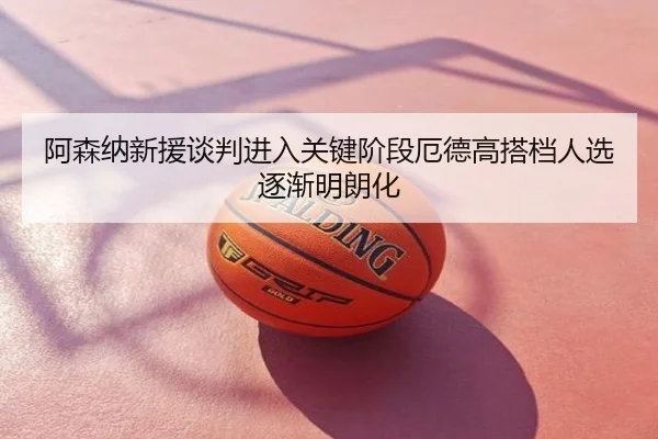 阿森纳新援谈判进入关键阶段厄德高搭档人选逐渐明朗化